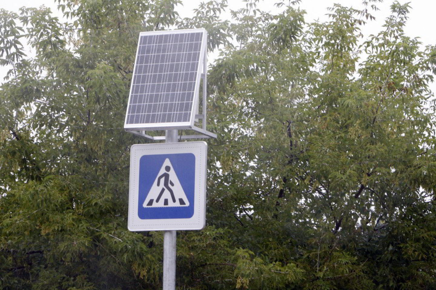 Berniukas į perėją išvažiavo staiga.