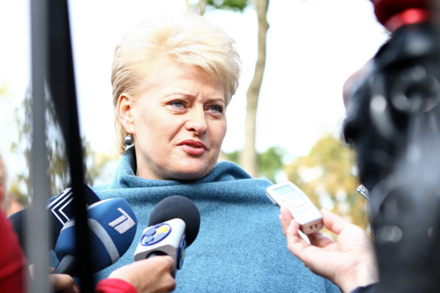 D.Grybauskaitė piktinasi, kad „Star1 Airlines“ problemos nebuvo pastebėtos iš karto.