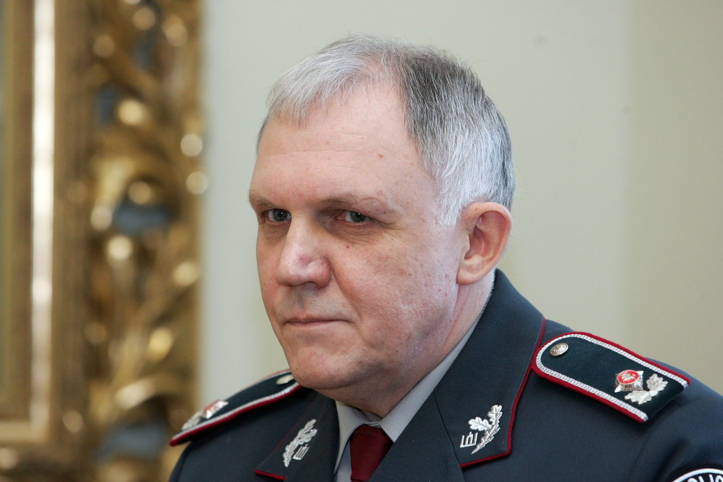 V.Telyčėnas nenori, kad būtų sumažintas pareigūnų skaičius.