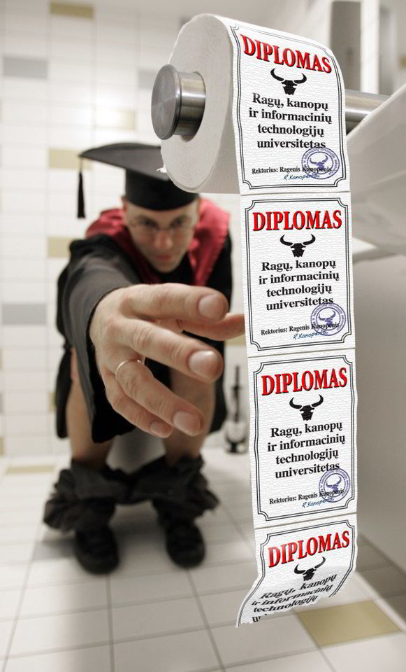 Darbo vietą garantuoja ne vien diplomas, bet ir patirtis.