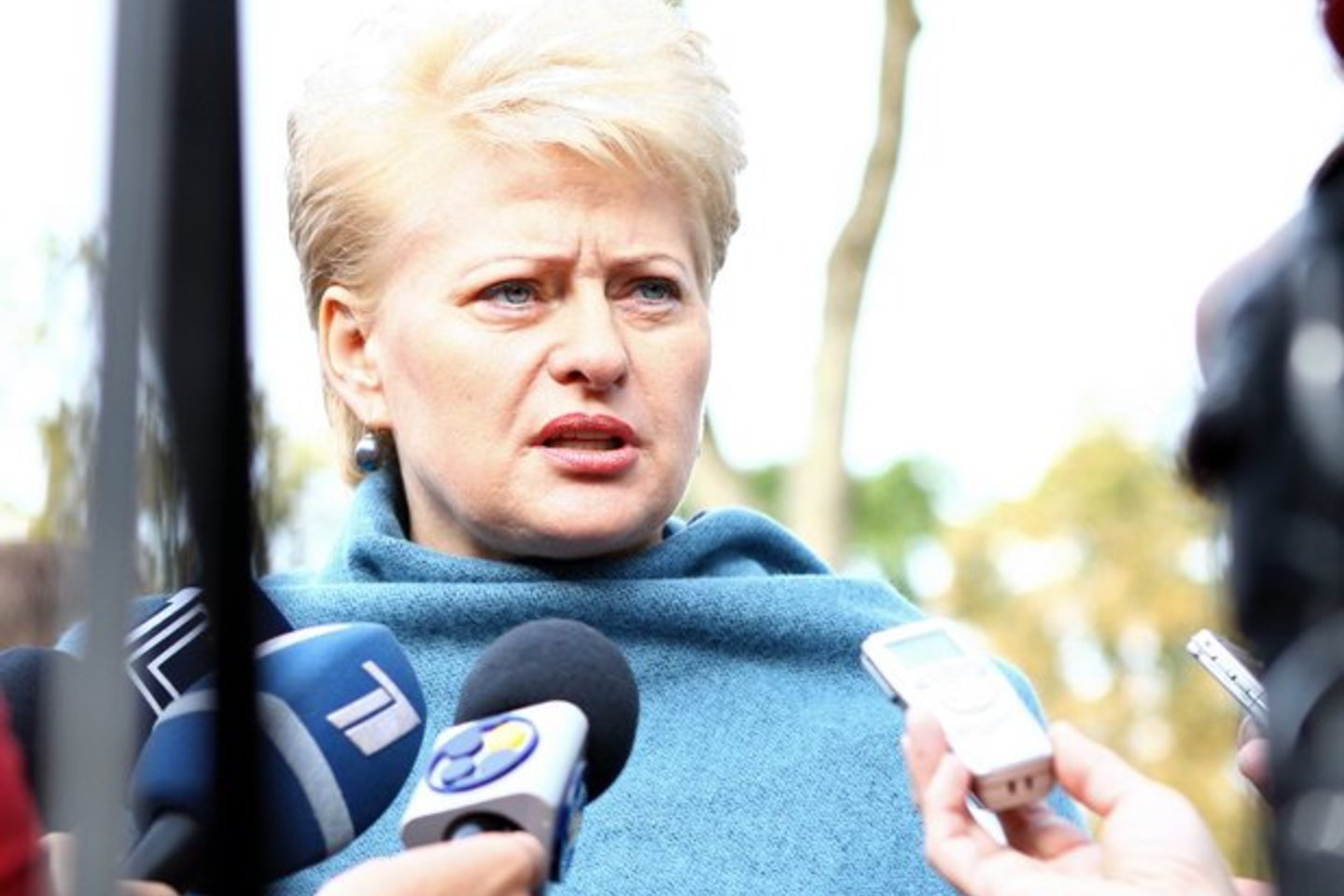 D.Grybauskaitė abejoja, ar artėjant rinkimams, valdantiesiems pavyks pasiekti užsibrėžtus tikslus.