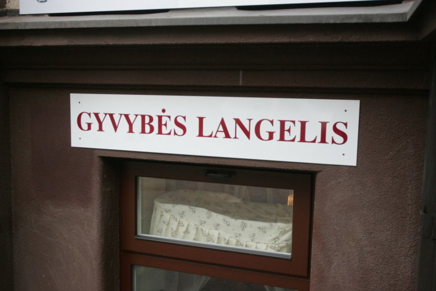Iš viso Lietuvoje per mažiau nei metus „Gyvybės langeliuose“ rasti devyni mažyliai.