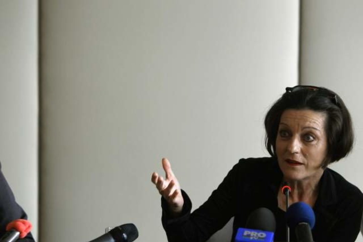 Pernai premija atiteko Rumunijoje gimusiai vokiečių romanistei ir poetei Hertai Mueller.