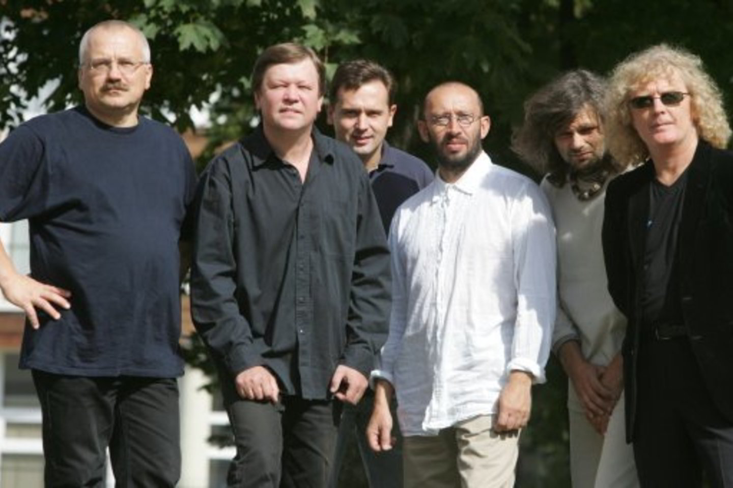 "Dainiaus Pulausko grupė".