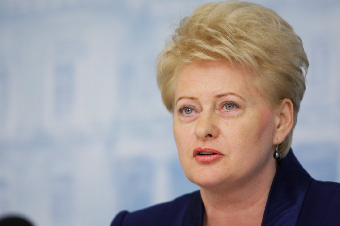 Anot D.Grybauskaitės, baudos už kartelinius susitarimus turi būti proporcingos daromai žalai.