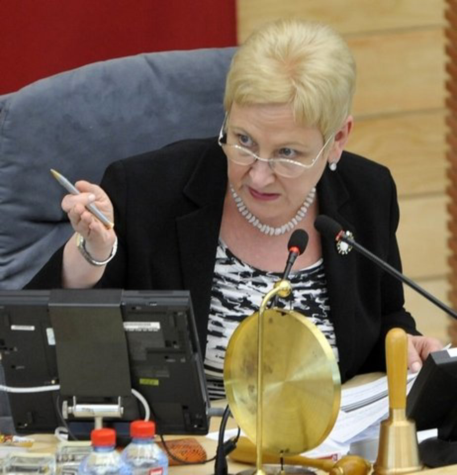 I. Degutienė asmeniškai sakė esanti už tai, kad būtų leista turėti dvigubą pilietybę lietuvių kilmės asmenims.