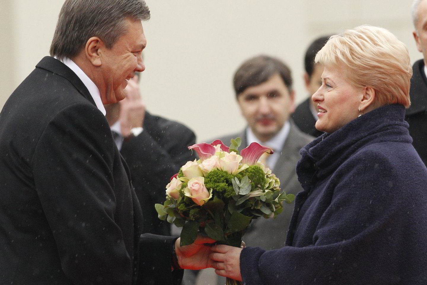 D.Grybauskaitė teigia, kad Ukraina yra strateginė Lietuvos partnerė.