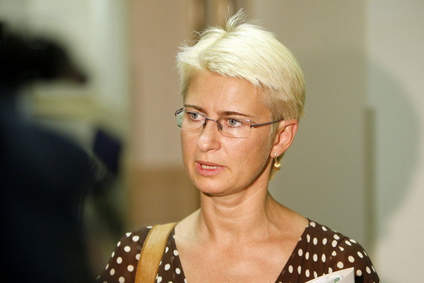 Teisėjų garbės teismas atidėjo N.Venckienės drausmės bylos nagrinėjimą.