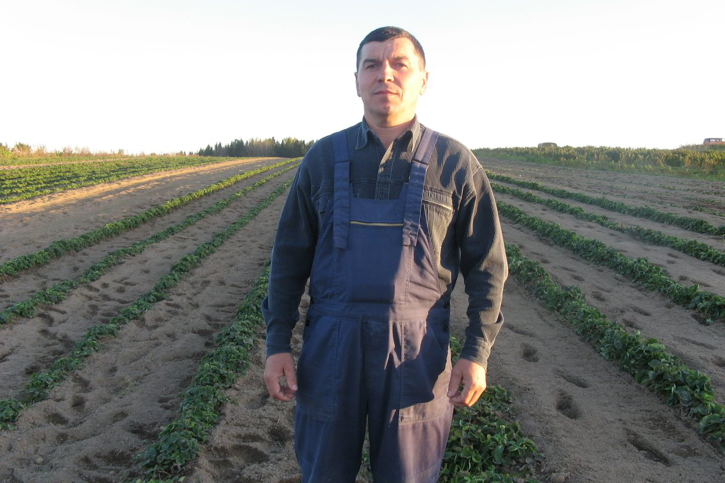 Alfonsas Pristavka