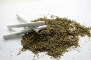 Kalifornijoje siūloma legalizuoti marihuaną (video)