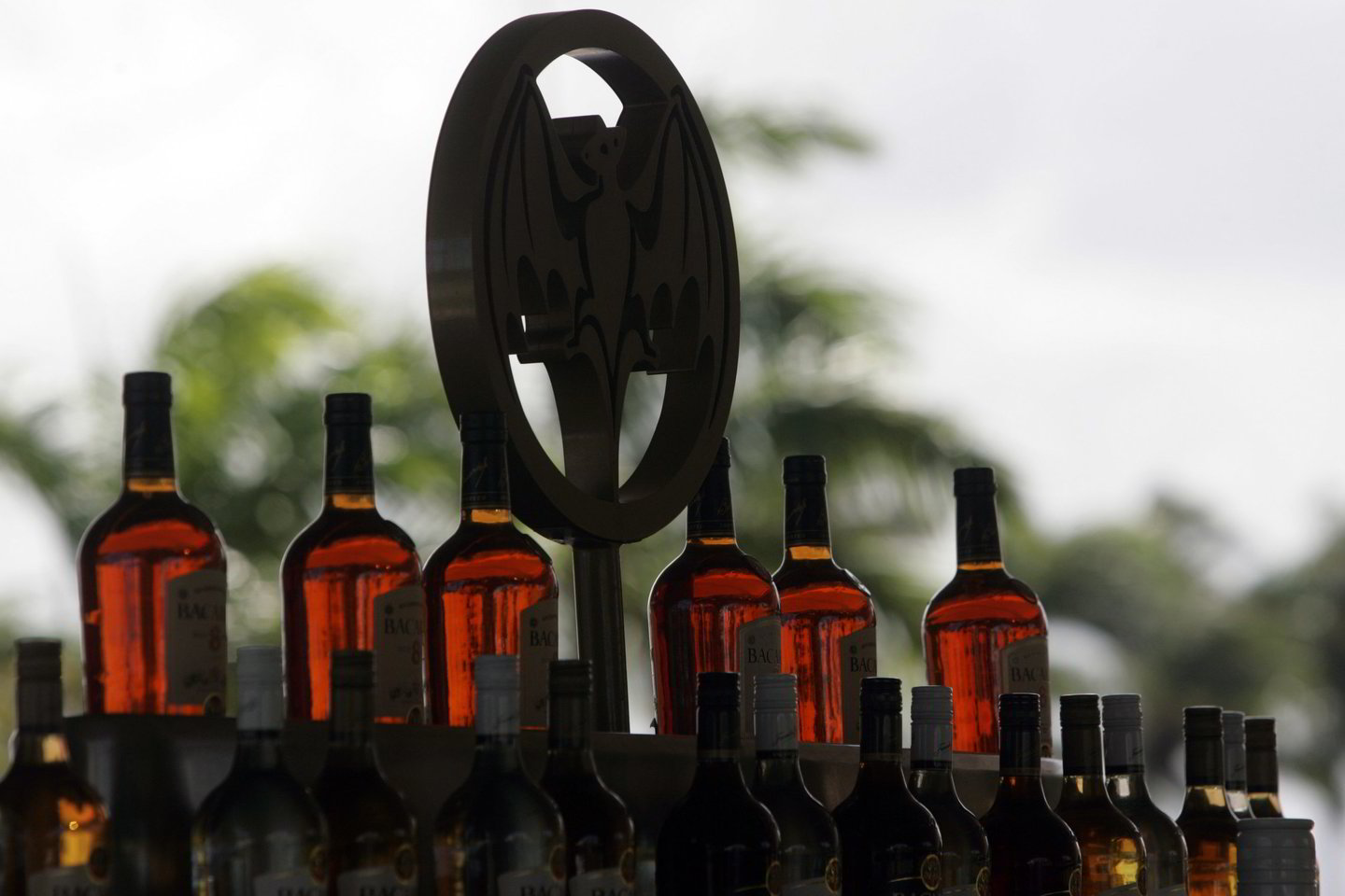 Bacardi šeima atlaikė žemės drebėjimą, cholerą, Sausąjį įstatymą ir Kubos revoliuciją.