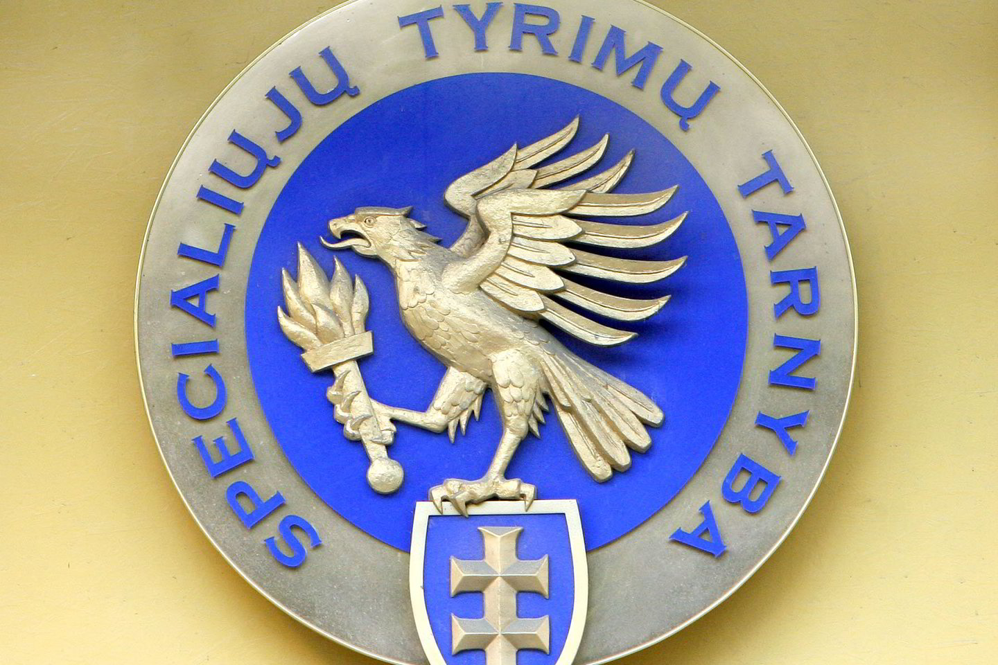 STT sulaikė įtariamąjį.