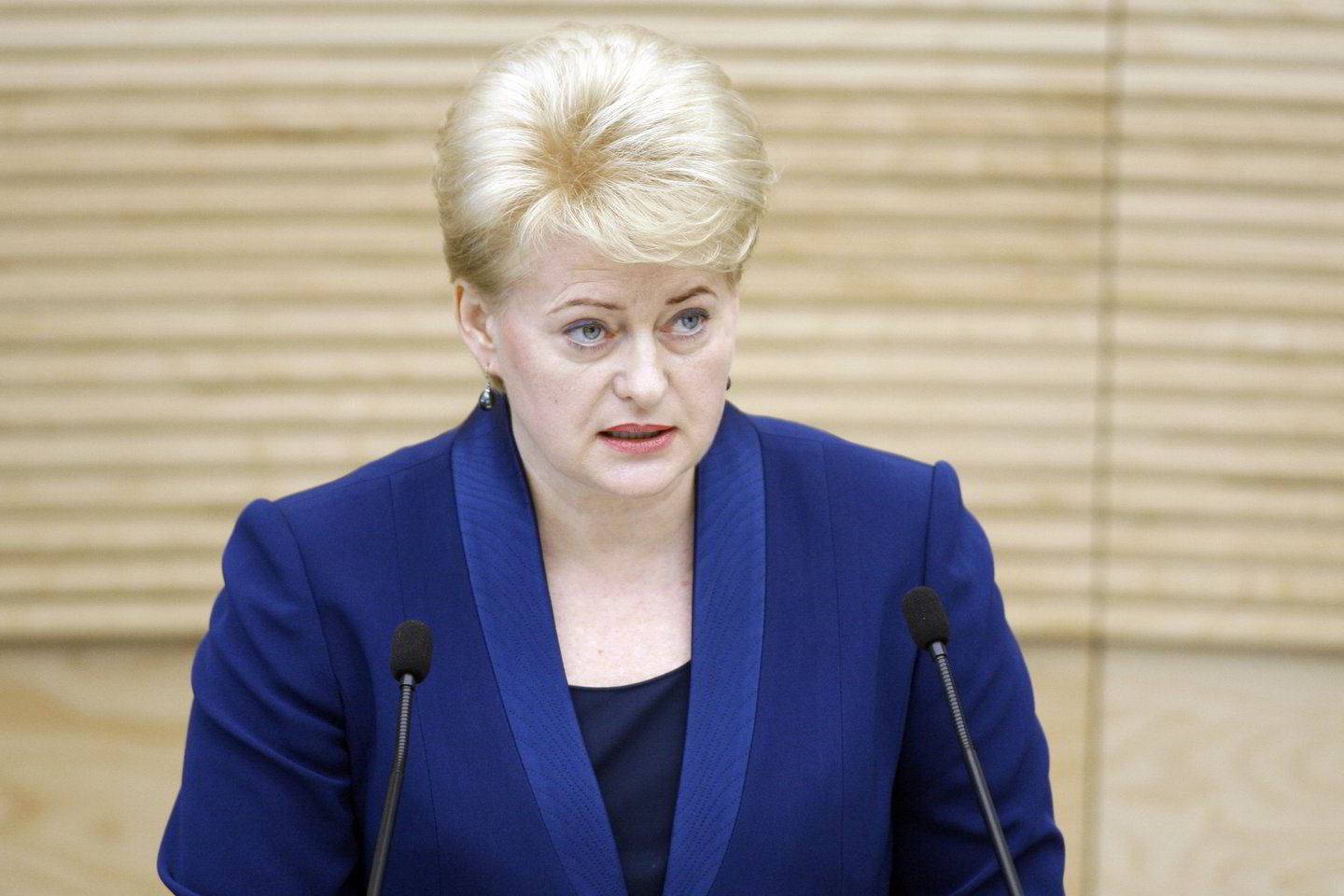 Žmogaus teisių komitetas nepritarė Lietuvos prezidentės veto.