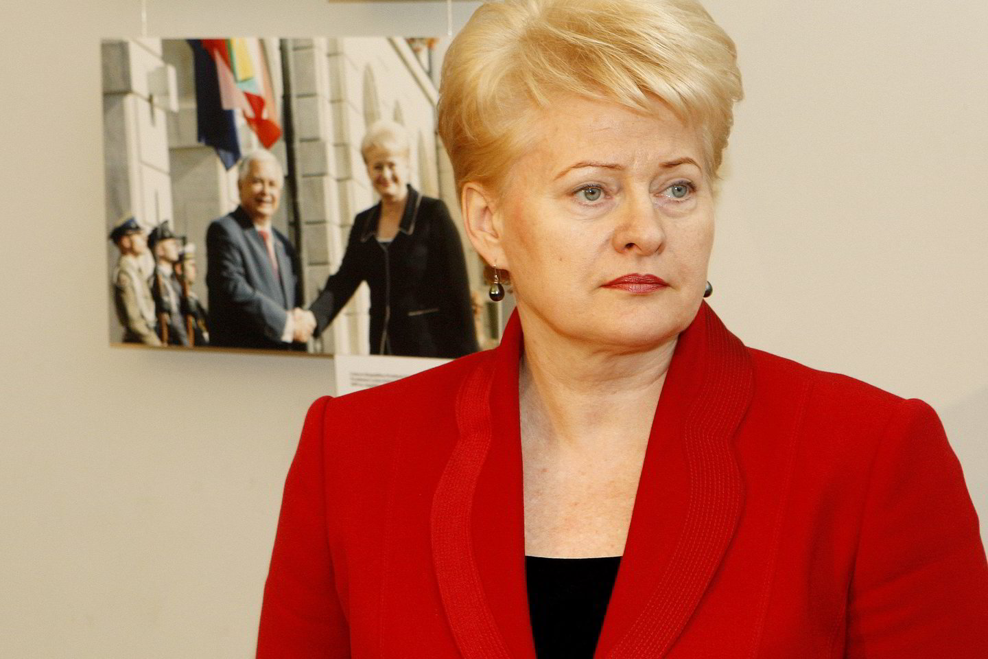 D.Grybauskaitė susitiko su JT generaliniu sekretoriumi.