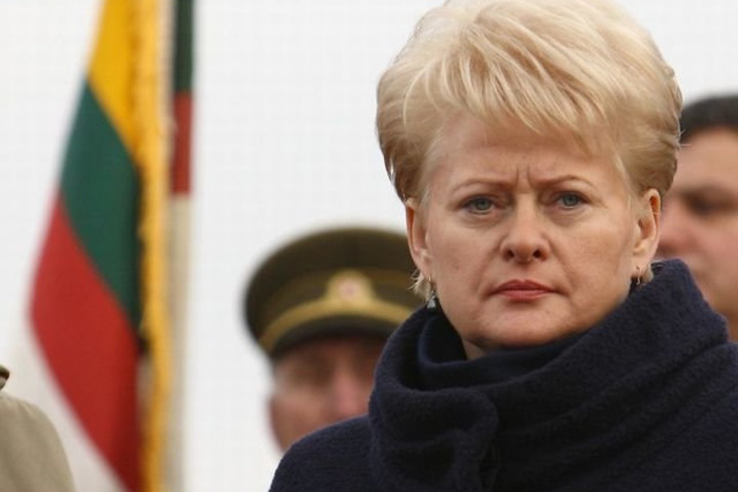 D.Grybauskaitė gali sulaukti valdančiųjų pasipriešinimo dėl pilietybės įstatymo.