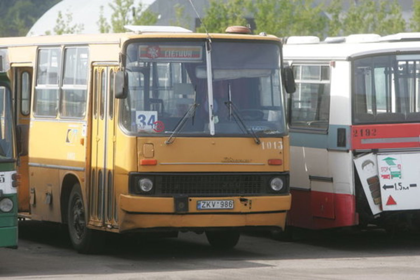 Preliminariai autobusams įsigyti numatytas 18 mėnesių terminas.