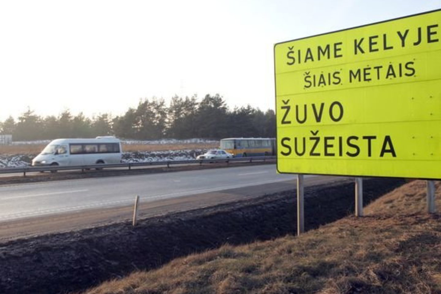 Eismo įvykiuose sužeisti 49 gyventojai, tarp jų 15 nepilnamečių.
