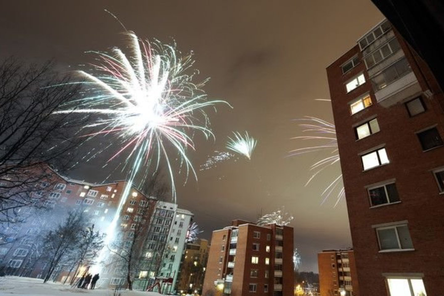 Naujametės petardos ne tik kėlė šventinę nuotaiką ir žavėjo įvairiaspalviais blyksniais nakties danguje.
