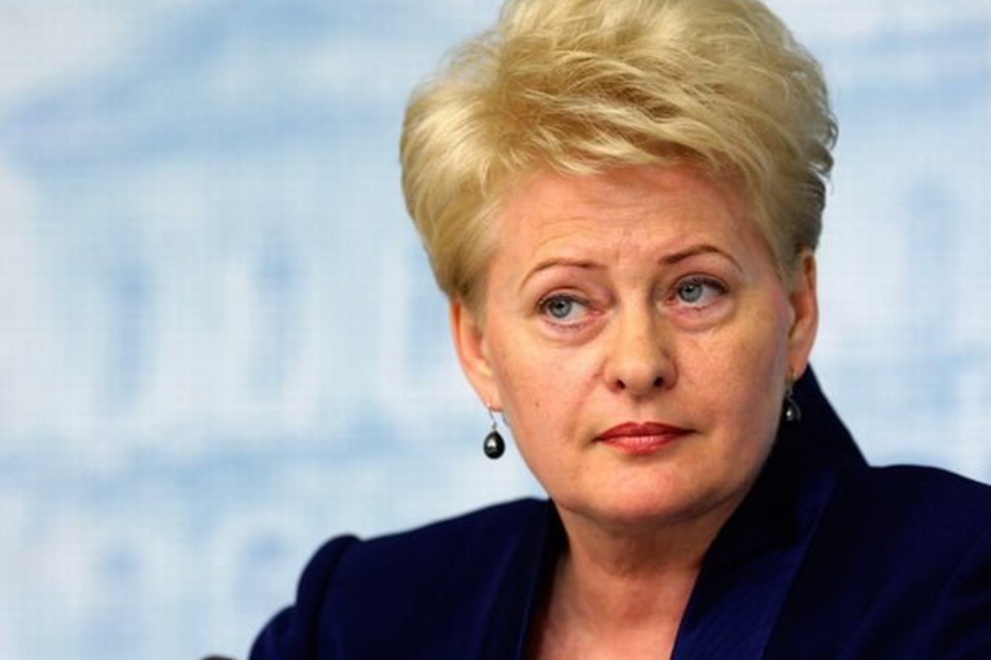 „Labai tikiuosi, kad sukūrus papildomą juridinę bazę bus galima pradėti reikalauti atsakomybės“, - sakė prezidentė.
