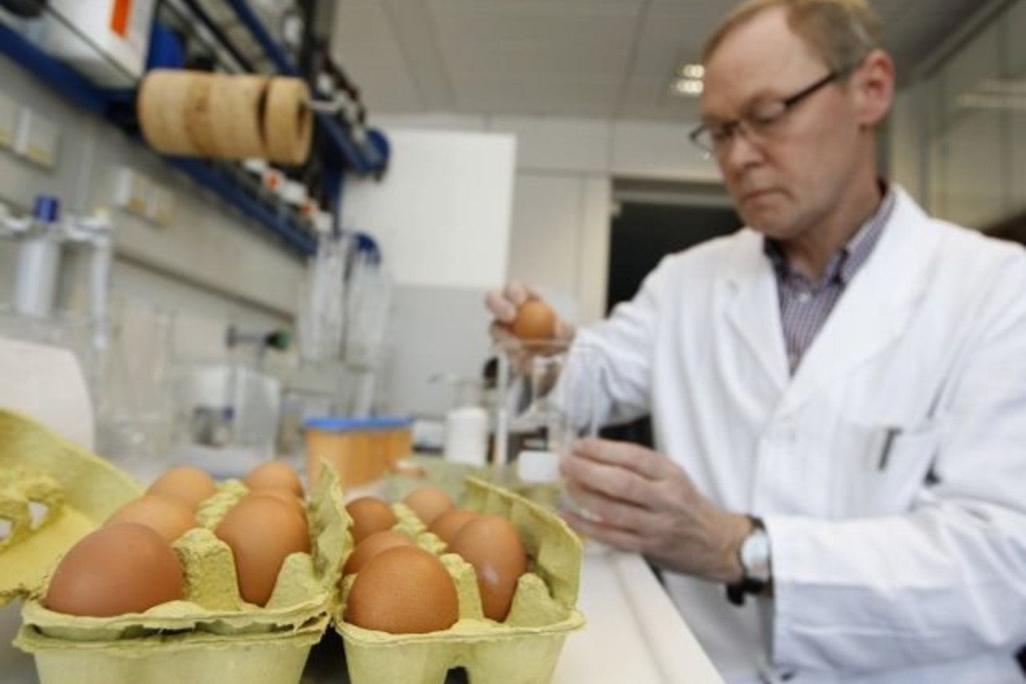 Vokietijos ekspertai tiria, kiek kenksmingų maisto produktų pateko į rinką.