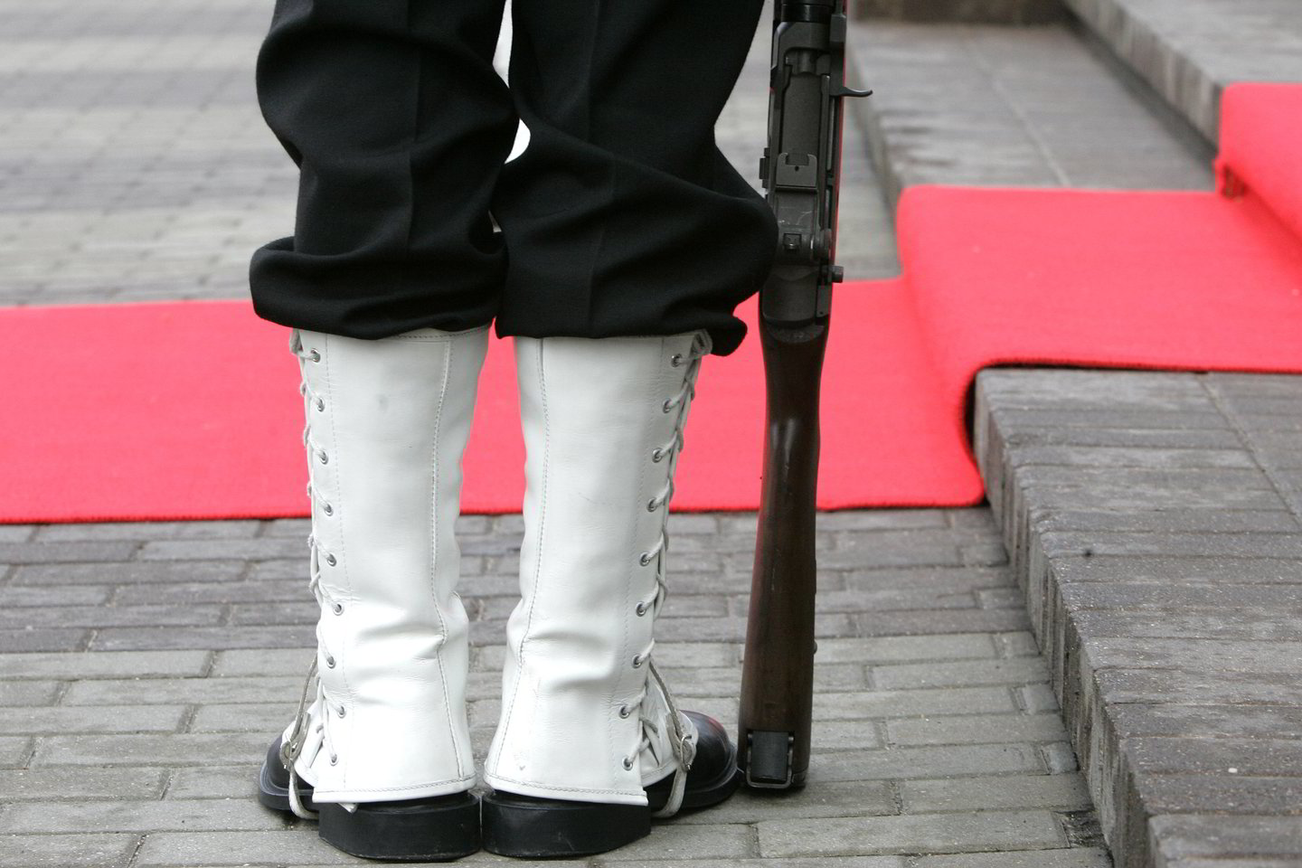 Ginti Lietuvą eitų didžioji dalis suaugusių Lietuvos vyrų - 59 procentai.