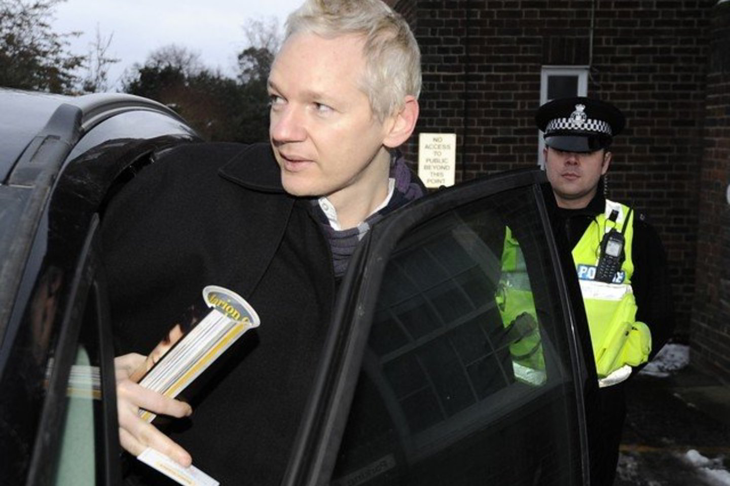 "Wikileaks" įkūrėjas J.Assange'as.