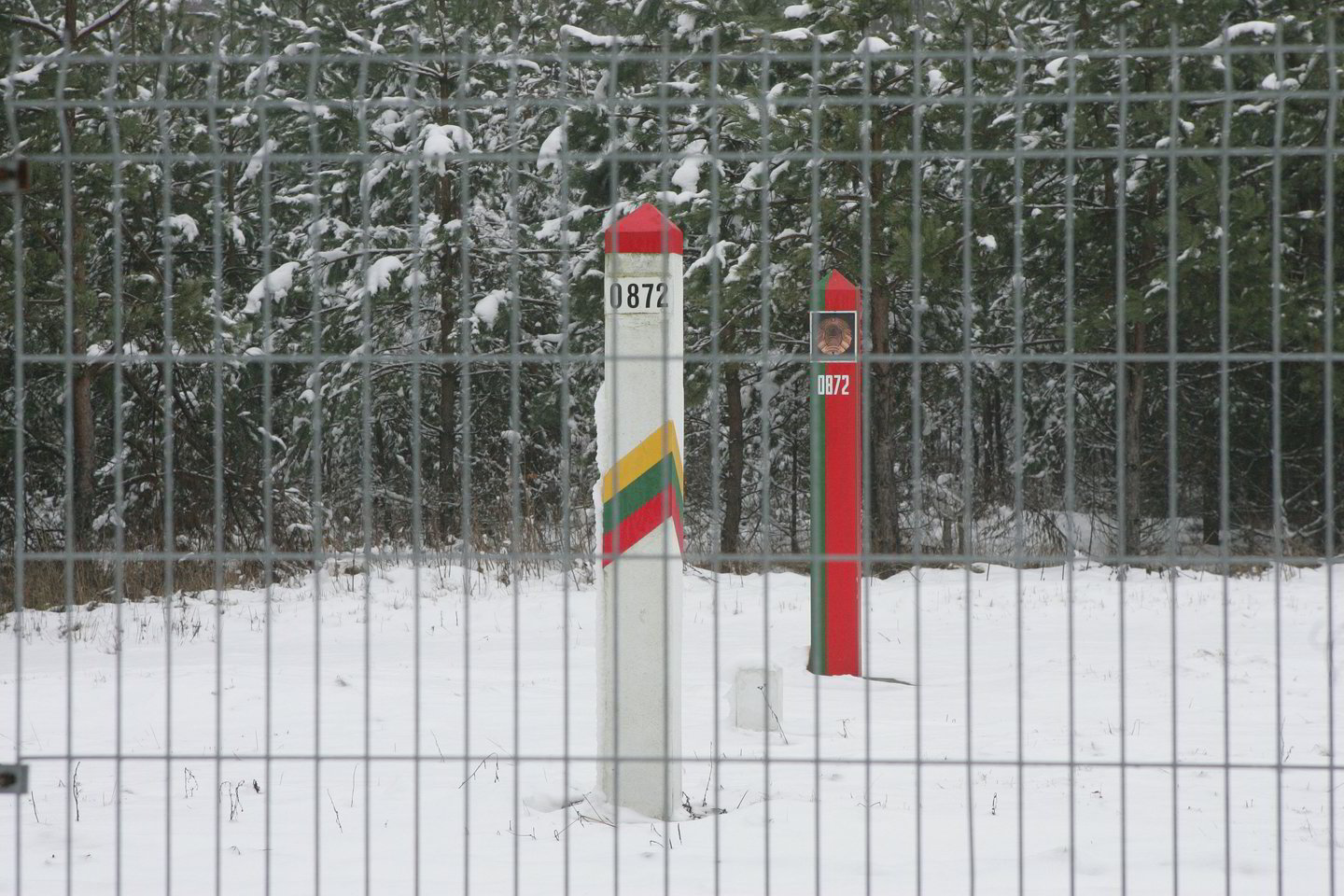 Dažniausiai į Lietuvą nelegaliai mėgino patekti rusai ir gruzinai.