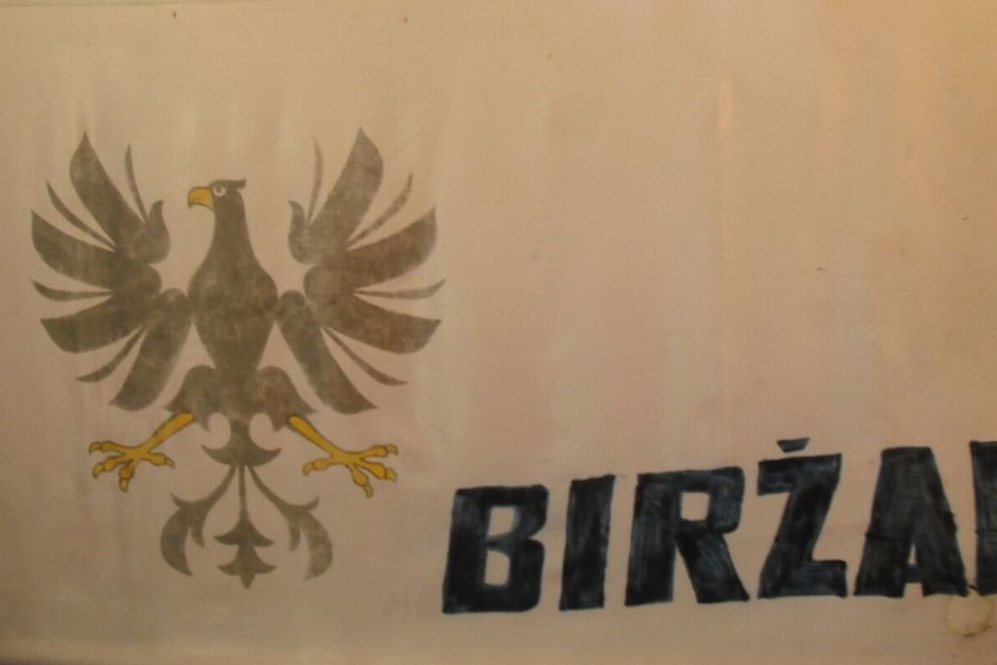 Biržų vėliava.