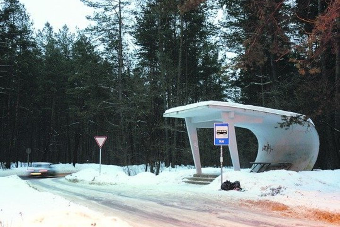 Paauglės lavonas buvo aptiktas miške tarp Nemenčinės plento ir Liepynės girininkijos.