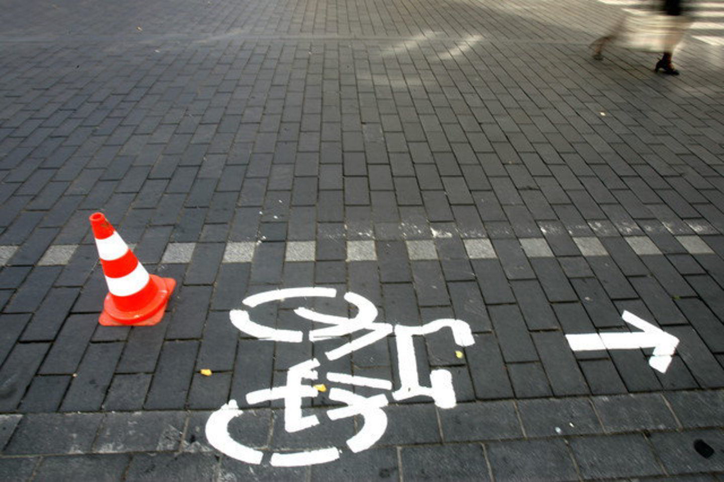 Dviračių tako rekonstrukcijos darbai turėtų prasidėti 2012 metų pradžioje.