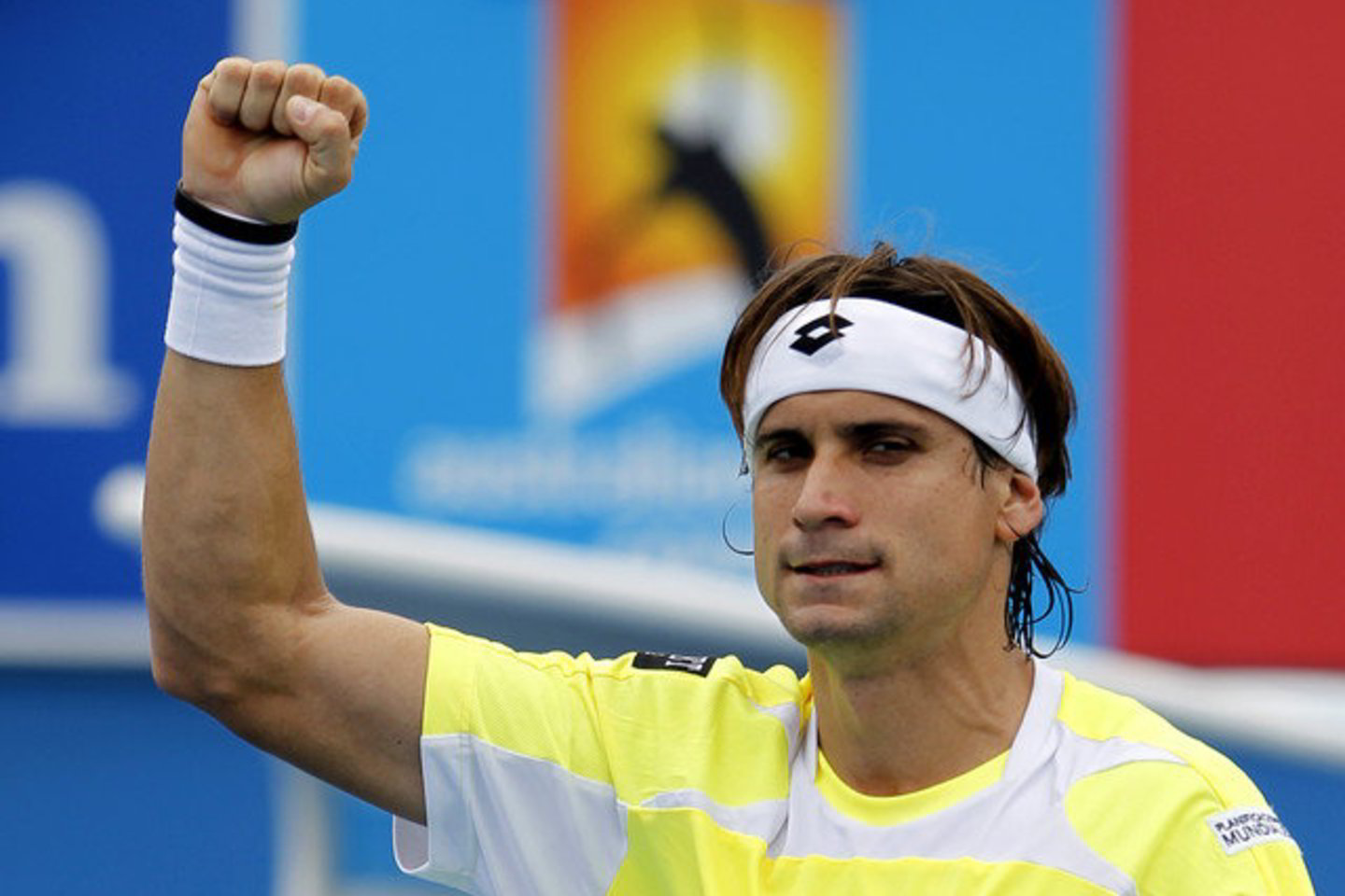 Didžiausias D.Ferrero pasiekimas „Grand Slam“ turnyruose - „US Open“ pusfinalis.