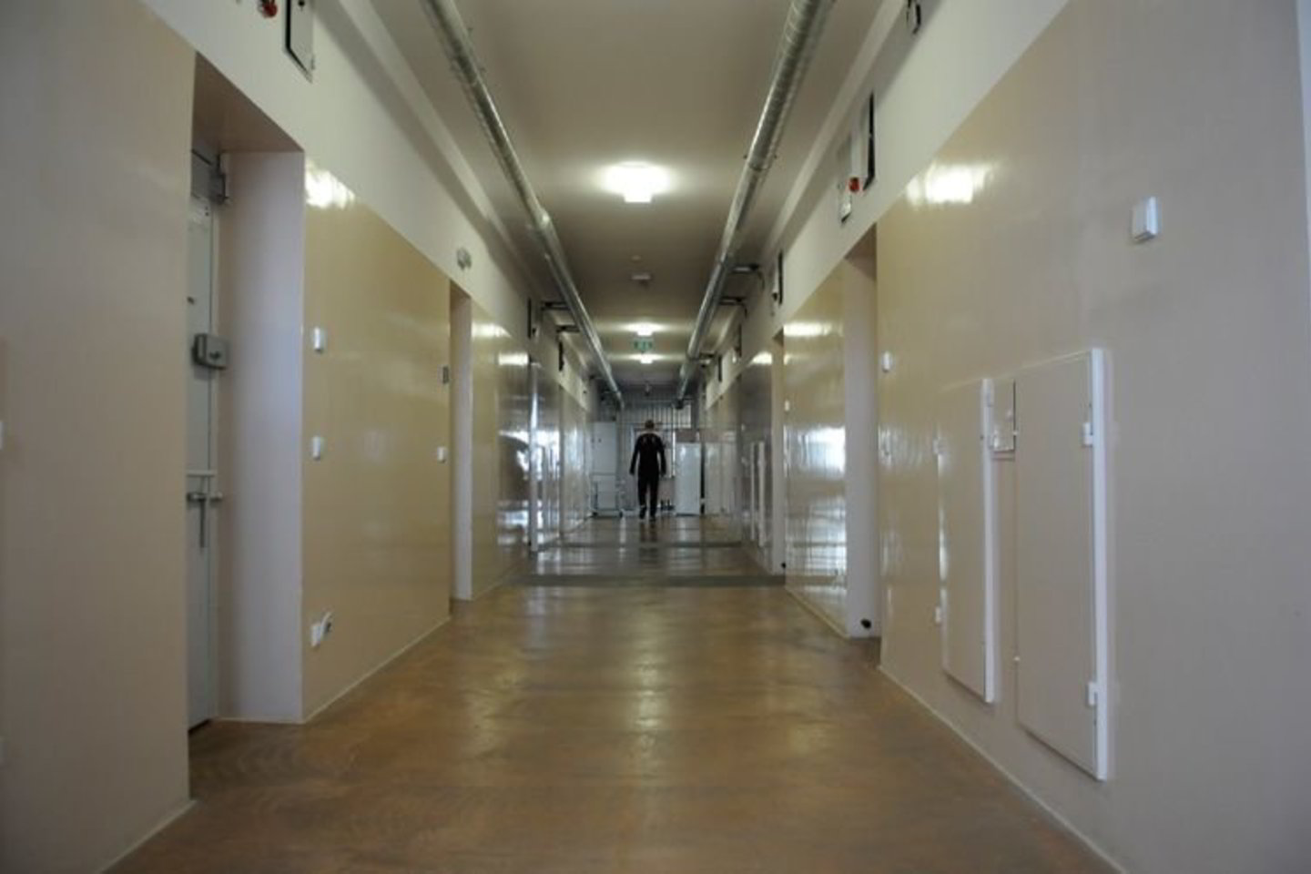T.Černiševas