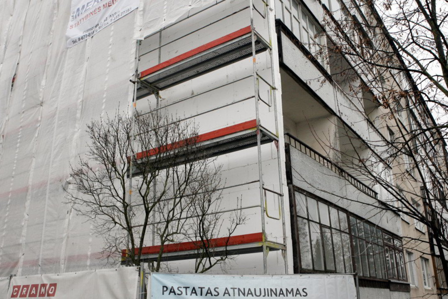 V.Kopūstas (ELTA)