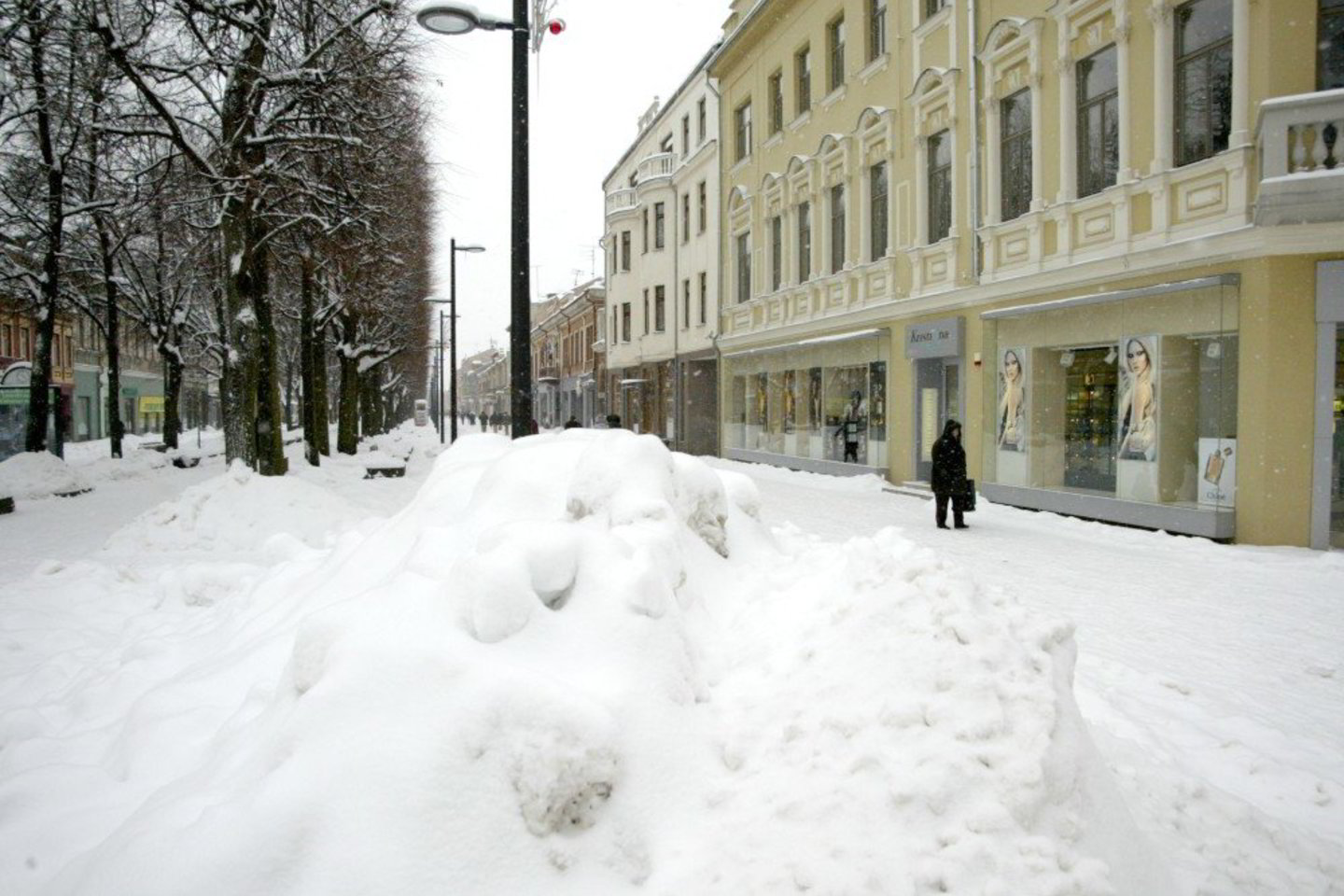 Praėjusiais metais, taupant lėšas, sniego sankaupos iš Laisvės alėjos beveik nebuvo vežamos.