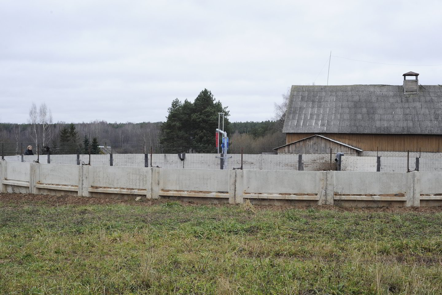Dėl draudimo užsieniečiams pirkti žemę pratęsimo valdančiojoje koalicijoje bendro sutarimo nėra.