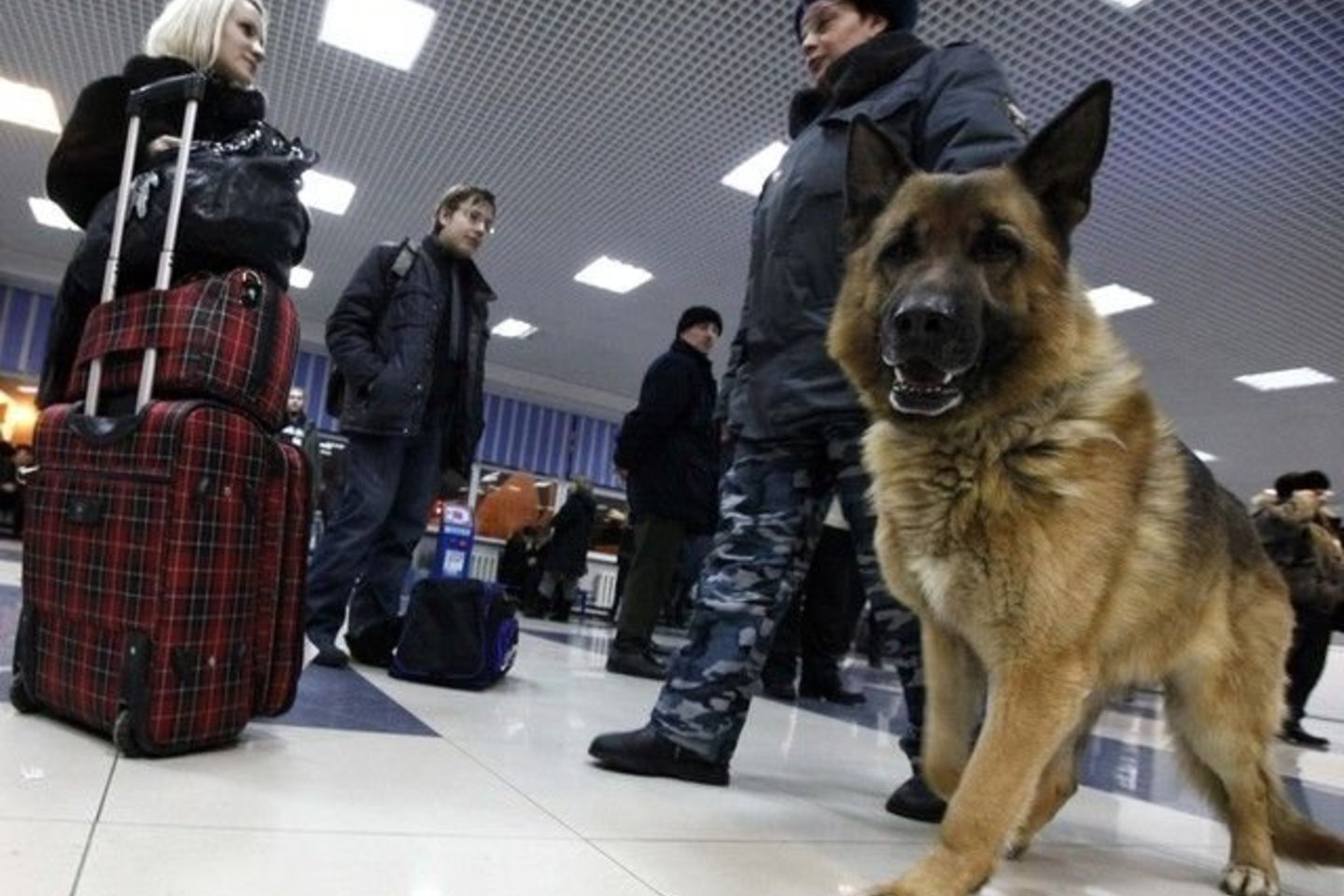 Policija jau medžioja keletą pagrindinių įtariamųjų.