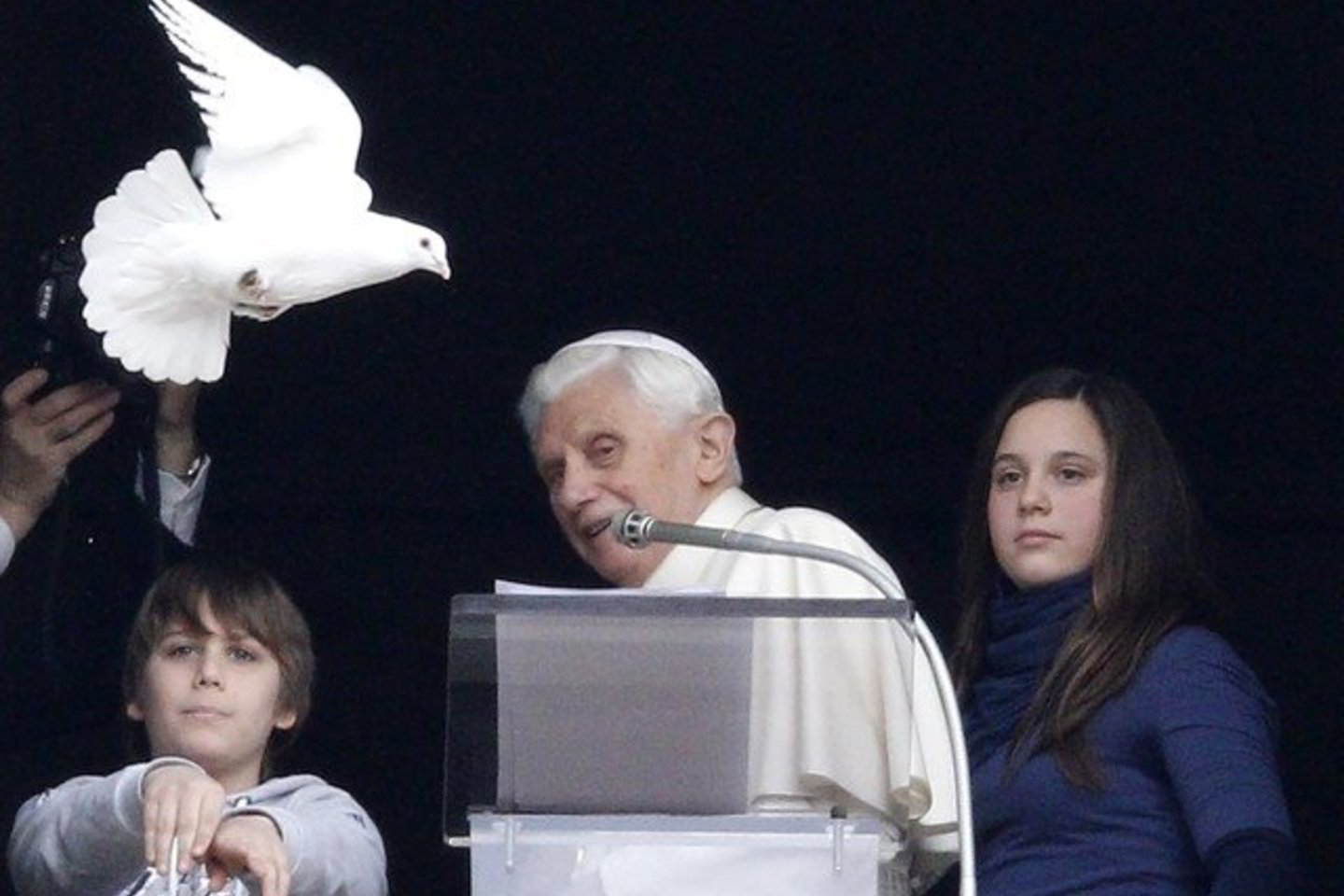 Sutrikę pareigūnai sugebėjo pagauti ir vėl paleisti per langą tik vieną iš paukščių.