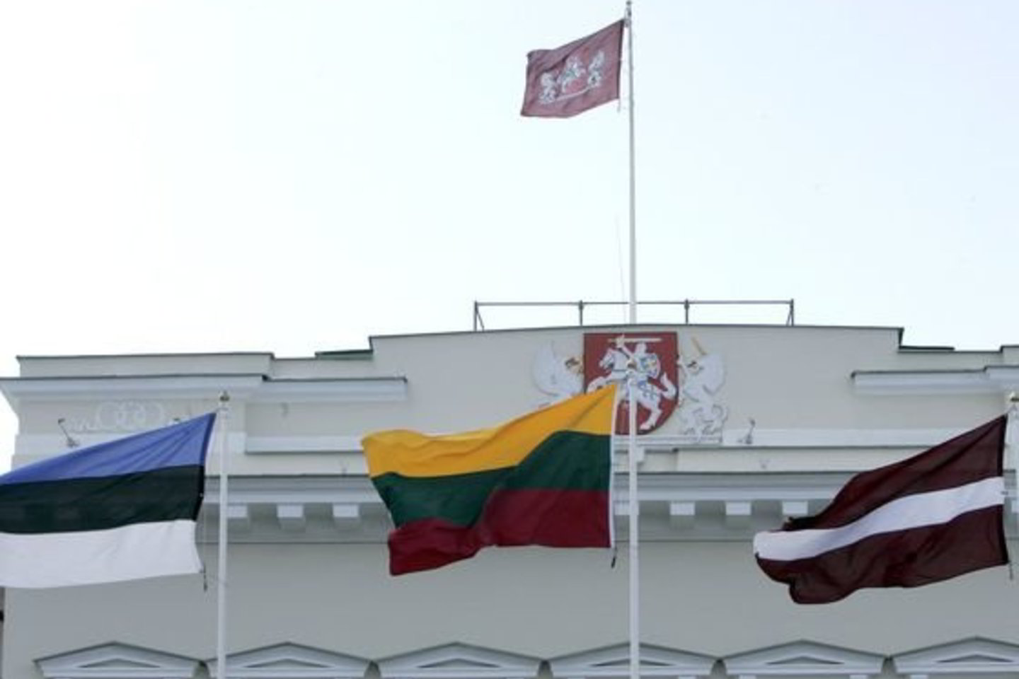 Dauguma pareiškimų motyvuojami perėjimu į Rusijos pilietybę, 91 atveju - į Lietuvos.