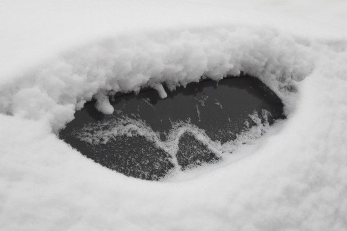 Vyriškio kūnas buvo griovyje įšalęs į ledą ir užpustytas sniego.