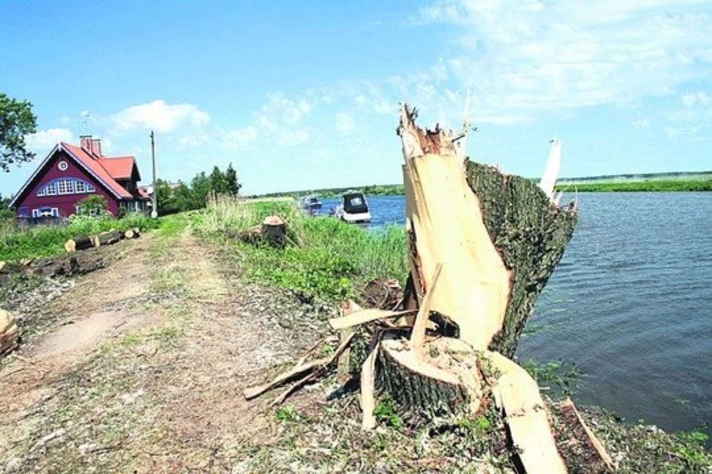 Iš viso buvo nupjautas 251 medis, tarp jų buvo nemažai sveikų ir vertingų, kurie puošė upės pakrantę.