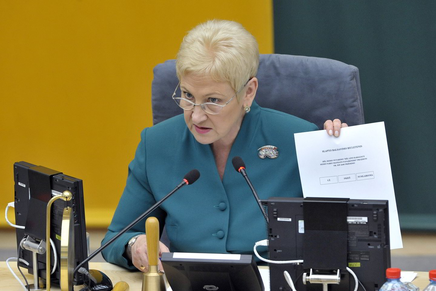 Melas ir apgaulė - taip I.Degutienė vertina Seimo narių kandidatavimą savivaldos rinkimuose.