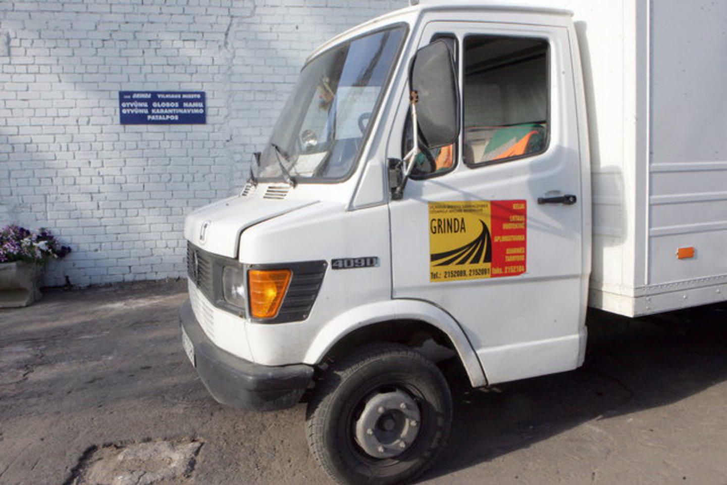 Net sveiki gyvūnai, patekę į „Grindą“, yra laikomi kartu su sergančiais, o tokiu būdu dauguma sveikų gyvūnų užsikrečia nuo sergančių ir suserga patys.