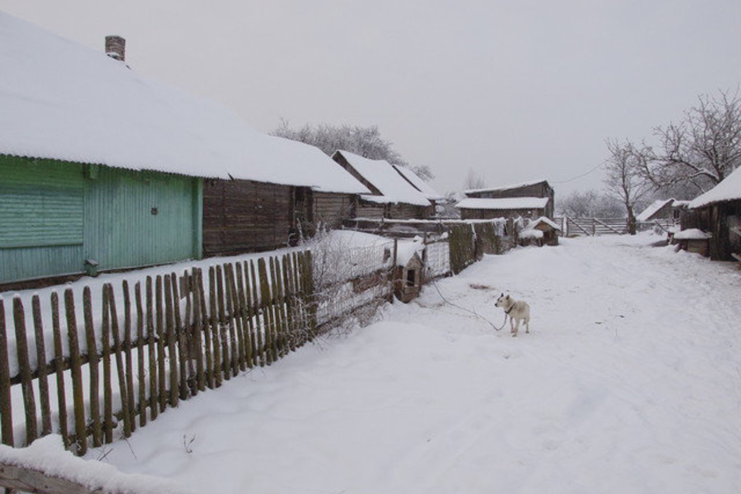 Plėšikai brovėsi ne į vieną kaimo namą.