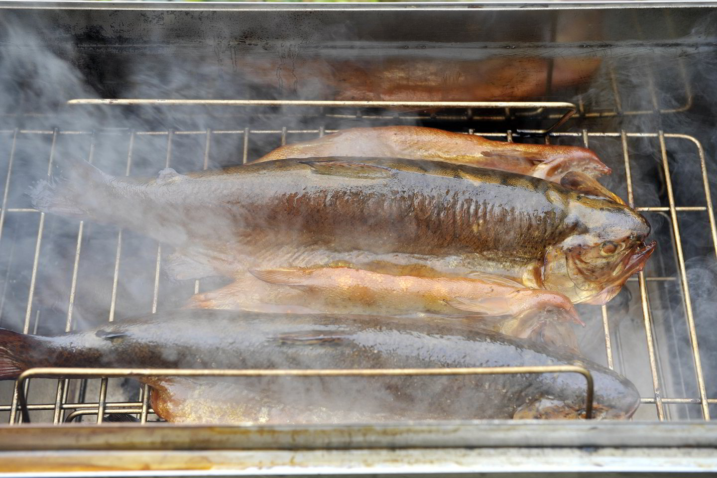 Vegetarams tinkami omega-3 rūgščių šaltiniai yra riebiosios šaltųjų vandenų žuvys.