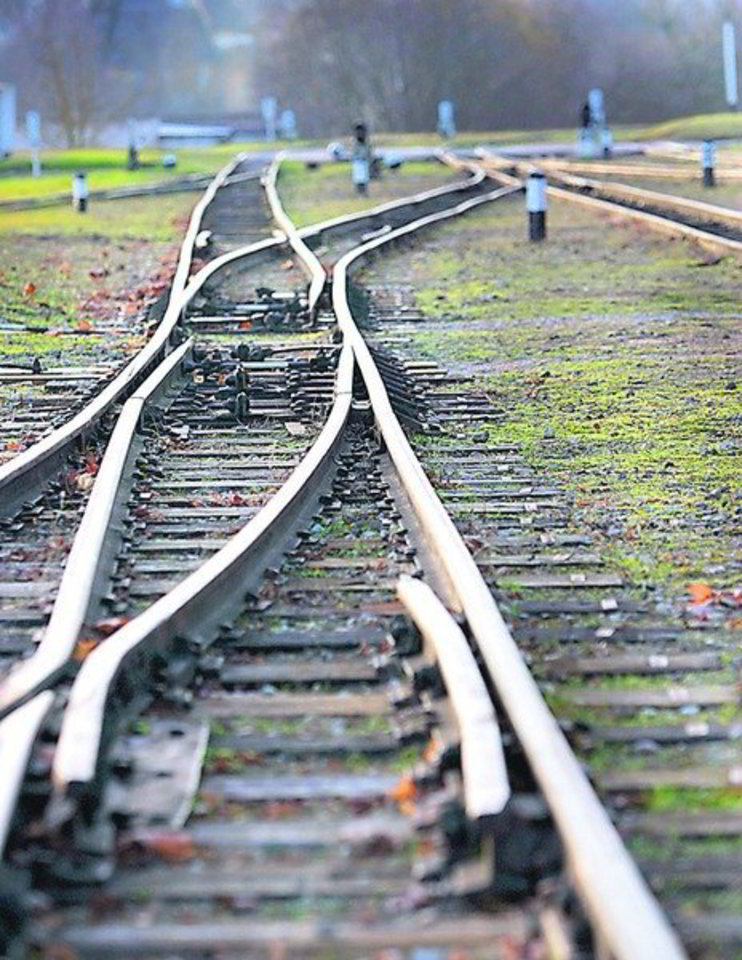 Viešąjį logistikos centrą įsteigus ne Kaunui priklausančiame Palemone, o Karmėlavos miestelyje, europinė vėžė „Rail Baltica” netektų prasmės.