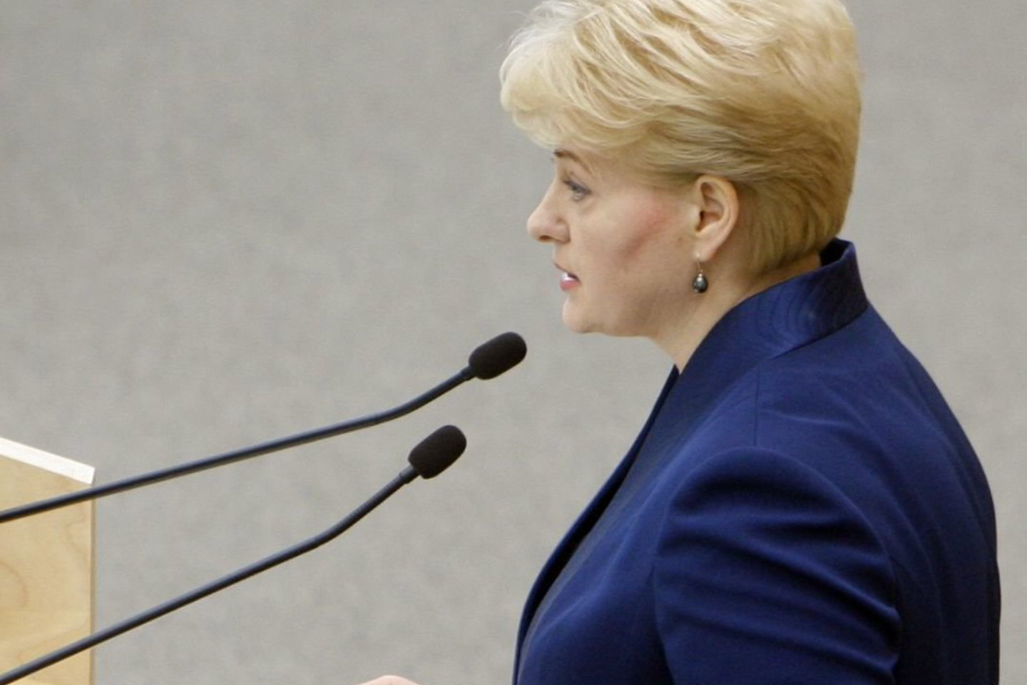 D.Grybauskaitė sakė, kad negalima diktuoti nei Baltarusijai, nei Egiptui.