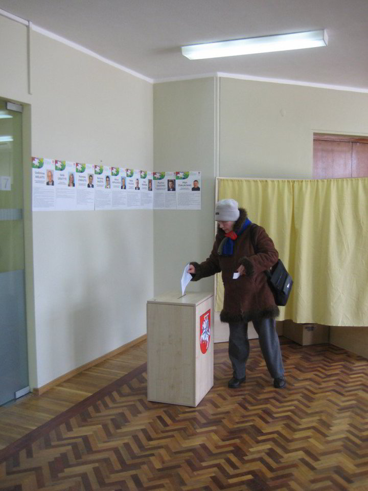 Marijampoliečiai Seimo narį renka iš devynių partijų iškeltų kandidatų.