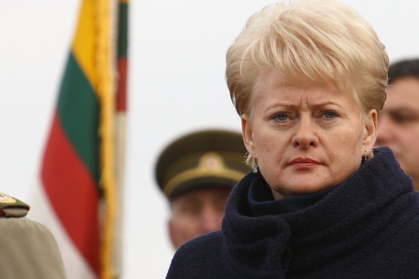 D.Grybauskaitė pabrėžė, kad šis projektas svarbus visam regionui, tačiau datomis, kada jis galėtų būti įvykdytas nespekuliuoja.