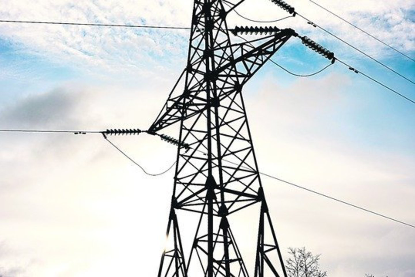 Valstybinė kainų ir energetikos kontrolės komisija pridalijo licencijų vadinamiesiems nepriklausomiems elektros tiekėjams, bet jie dažniausiai ignoruoja smulkiuosius verslininkus.