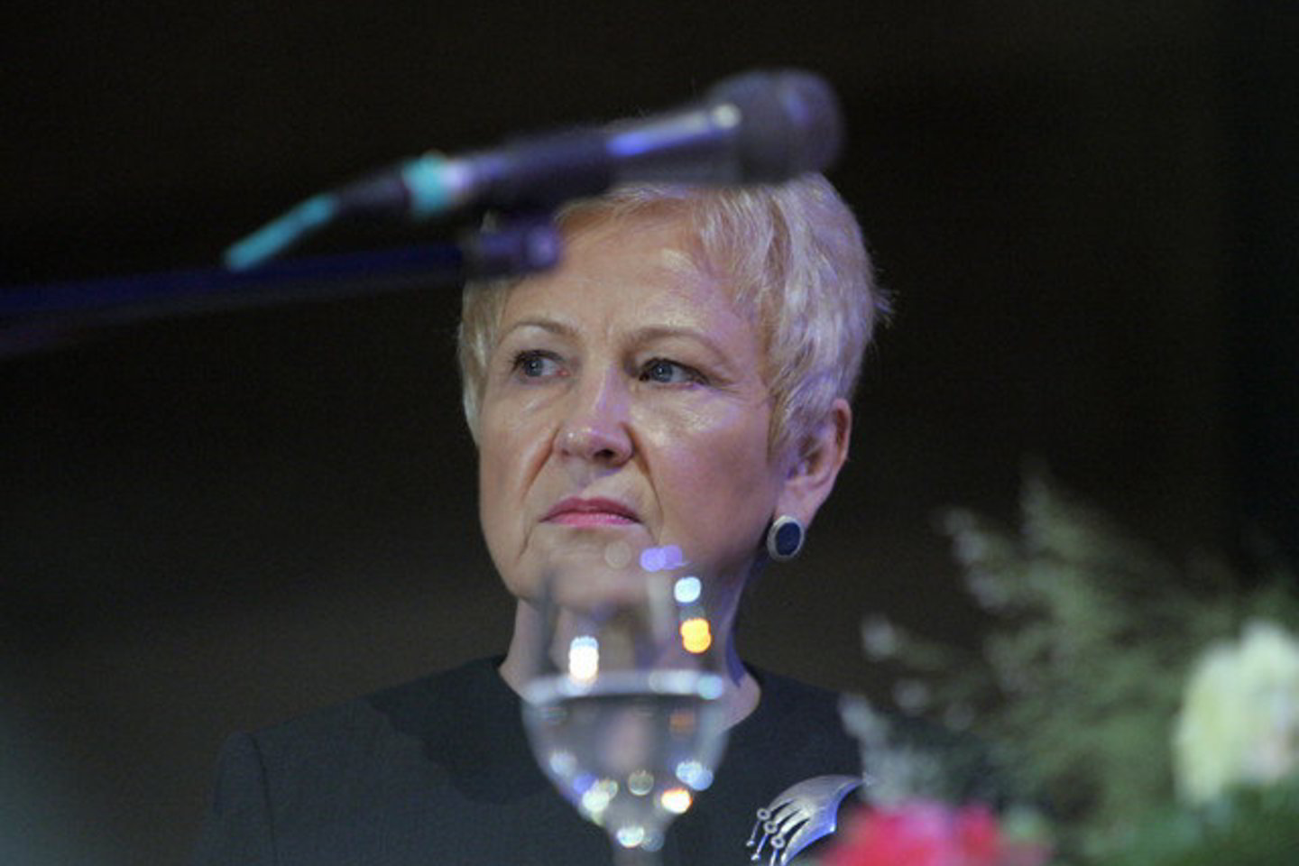 Seimo pirmininkė Irena Degutienė.